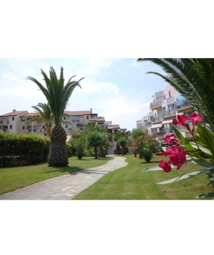 Rez De Jardin + Terrasse Piscine Et Acces Direct Plage Apartment Saint-Cyprien  Bagian luar foto